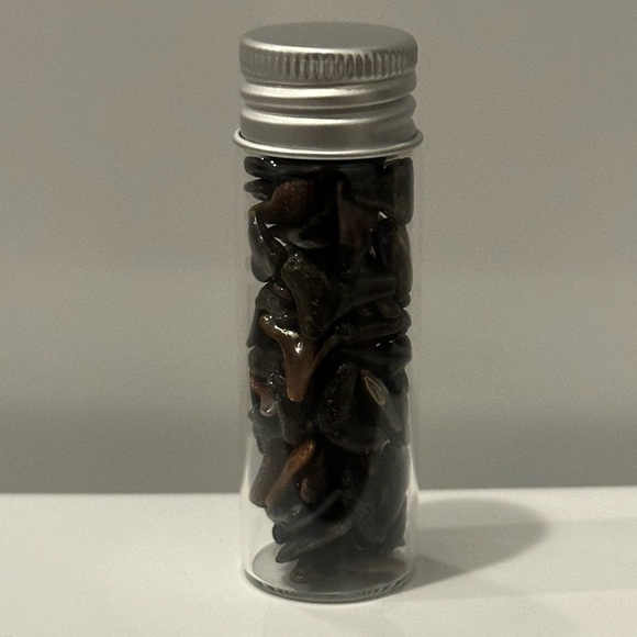 Fossilized Shark Teeth - Picture 9 of 10